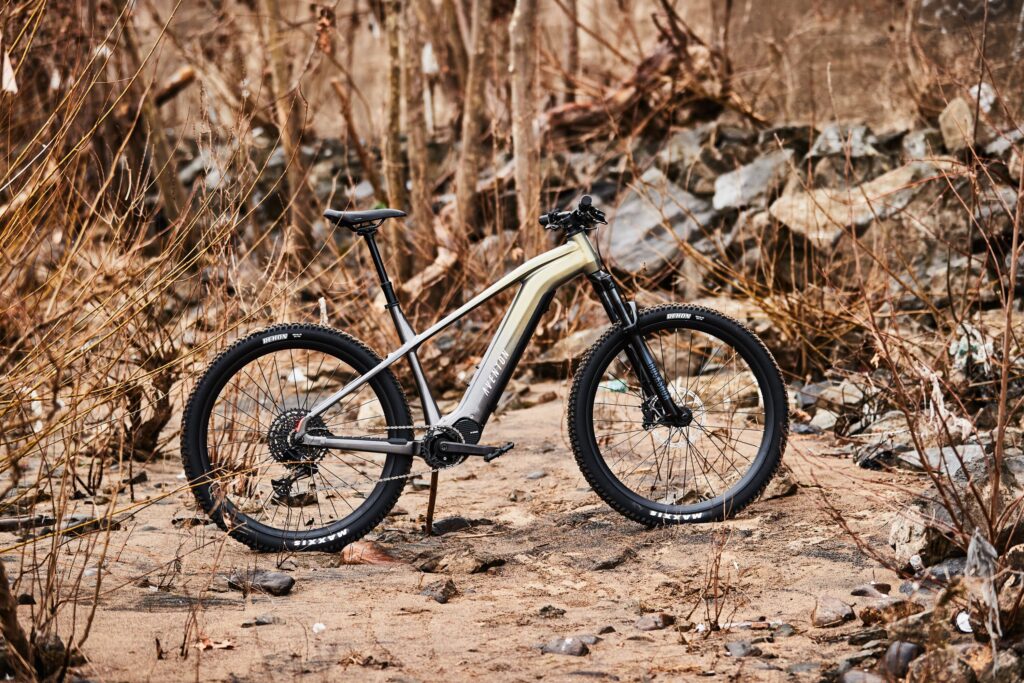 Electric mountain bike