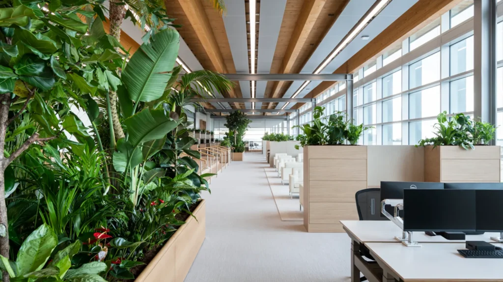 Work space in spain